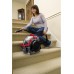 Bissell Spotclean Pro Halı - Koltuk Yıkama ve Leke Çıkarma Makinesi
